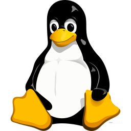 Linux image